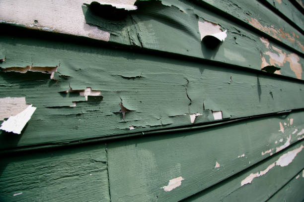Best Demolition Debris Removal  in Point Venture, TX